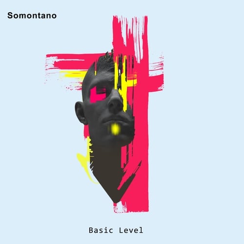 Somontano-Basic Level