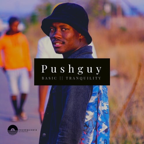 Pushguy-Basics
