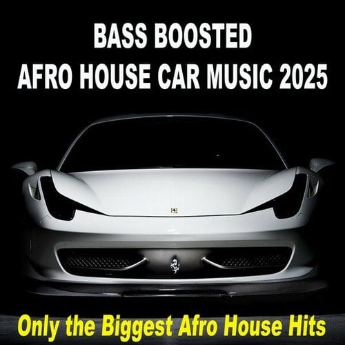 Bass Boosted Afro House Car Music 2025 (Only the Biggest Afro House Hits)