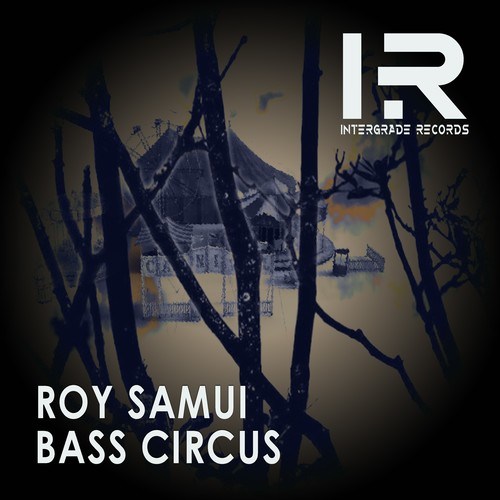 Roy Samui-Bass Circus
