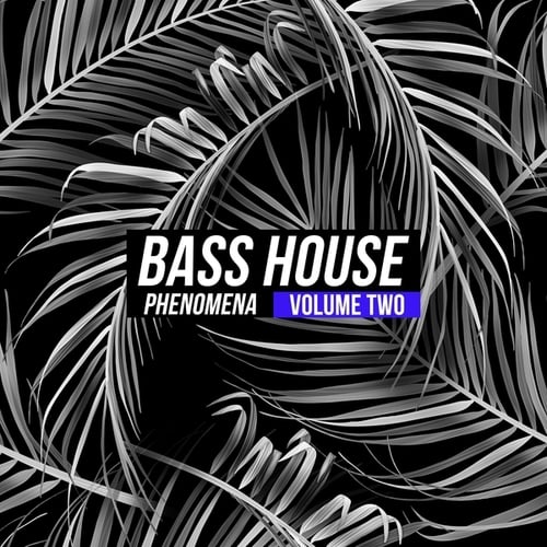 Various Artists-Bass House Phenomena, Vol. 2