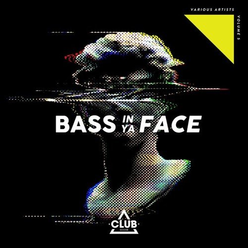 Bass in Ya Face, Vol. 5