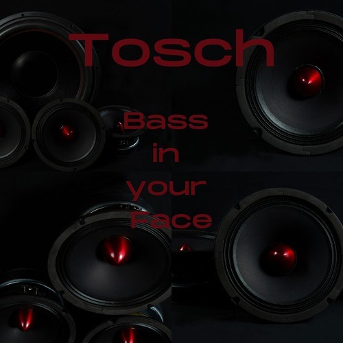 Tosch, Thomas Tosch Schillinger-Bass in Your Face