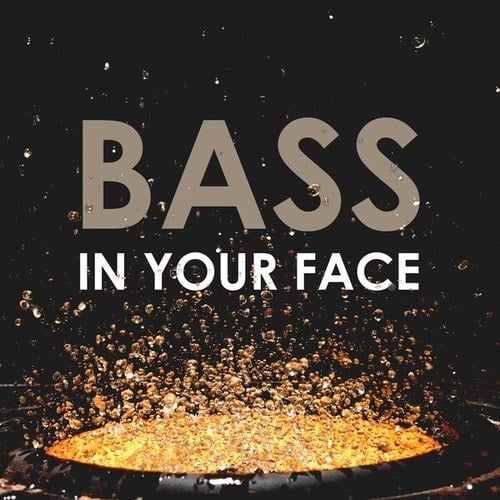 Various Artists-Bass in Your Face