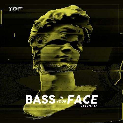 Bass in Your Face, Vol. 12