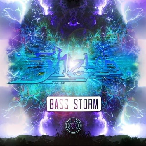 Shizloh-Bass Storm