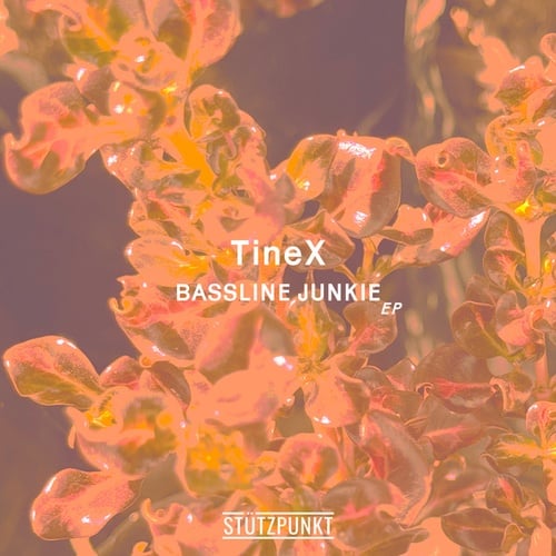 Bassline Junkie EP