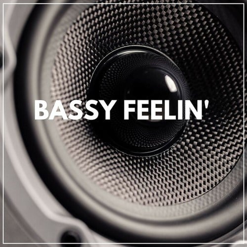 Bassy Feelin'