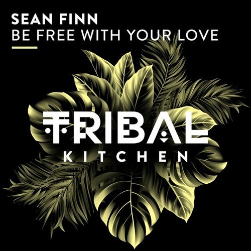 Sean Finn-Be Free with Your Love