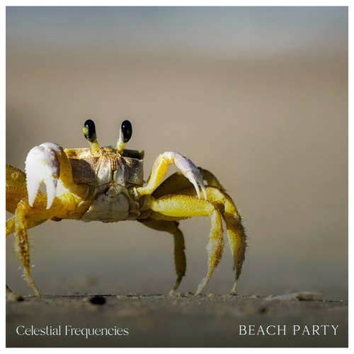 Celestial Frequencies-Beach Party