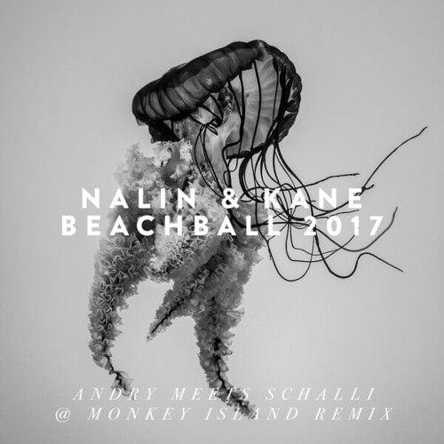 Nalin & Kane-Beachball (Andry Meets Schalli @ Monkey Island Remix)