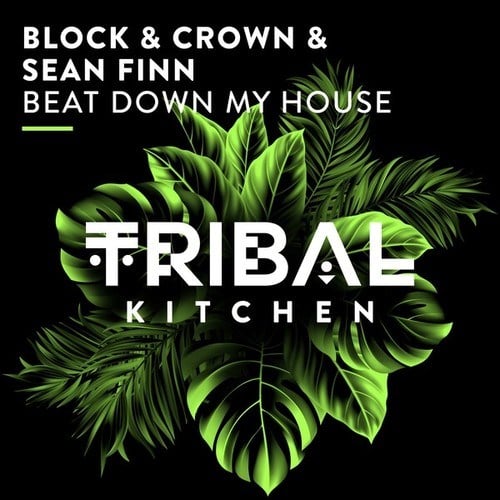 Block & Crown, Sean Finn-Beat Down My House (Extended Mix)
