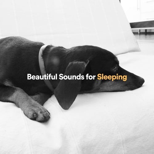 Beautiful Sounds for Sleeping