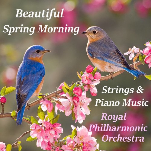 Royal Philharmonic Orchestra-Beautiful Spring Morning Strings & Piano Music Music