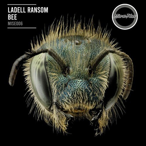 LaDell Ransom-Bee