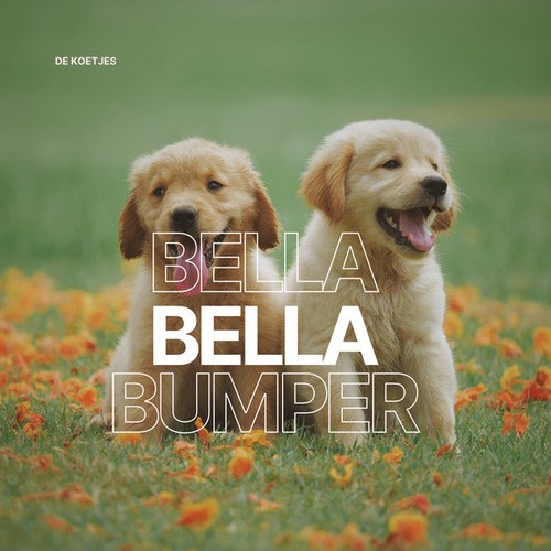 De Koetjes-Bella Bella Bumper