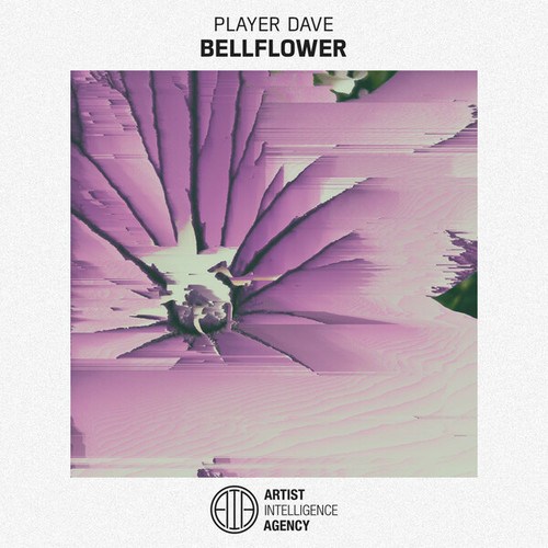 Bellflower