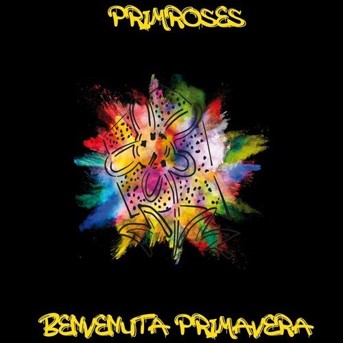 Primroses-Benvenuta Primavera