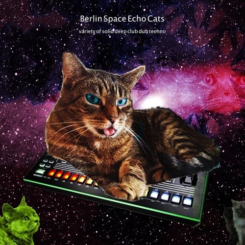 Various Artists-Berlin Space Echo Cats (Variety of Solid Deep Dub Techno)