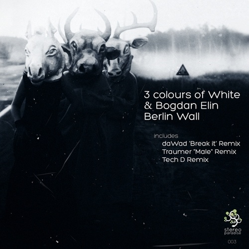 Bogdan Elin, 3 Colours Of White-Berlin Wall