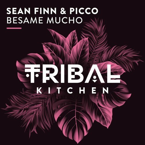 Sean Finn, Picco-Besame Mucho (Extended Mix)