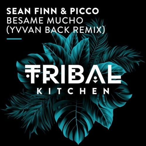 Besame Mucho (Yvvan Back Extended Remix)