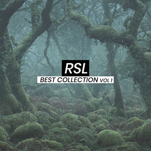 RSL-Best Collection, Vol. 1