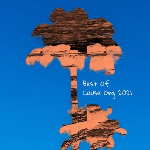 Various Artists-Best Of Cause Org 2021