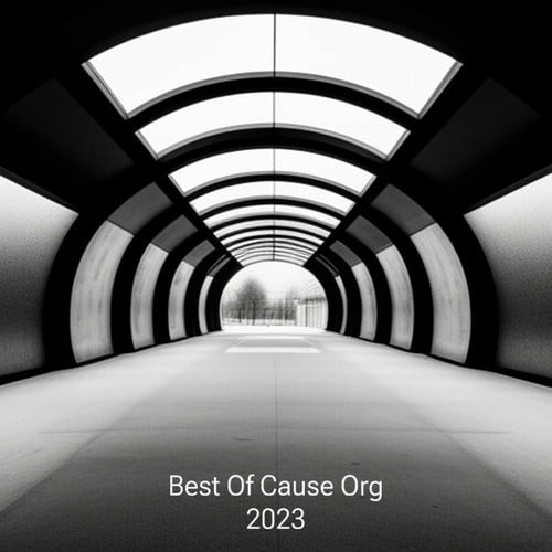 Various Artists-Best Of Cause Org 2023