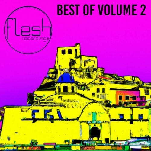 Various Artists-Best of Flesh 2