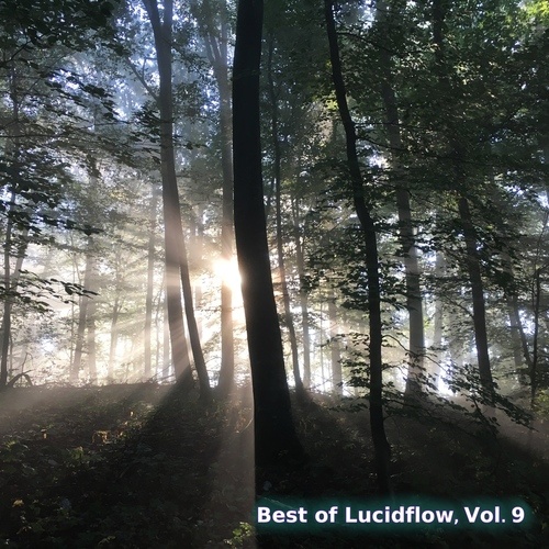 Various Artists-Best of Lucidflow, Vol. 9