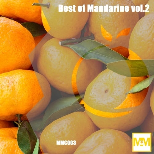 Various Artists-Best of Mandarine vol.2