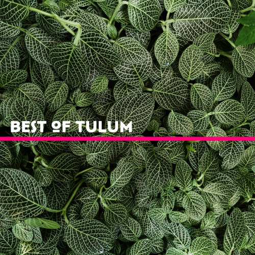 Various Artists-Best Of Tulum 2023