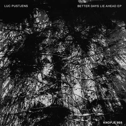 Luc Pustjens-Better Days Lie Ahead