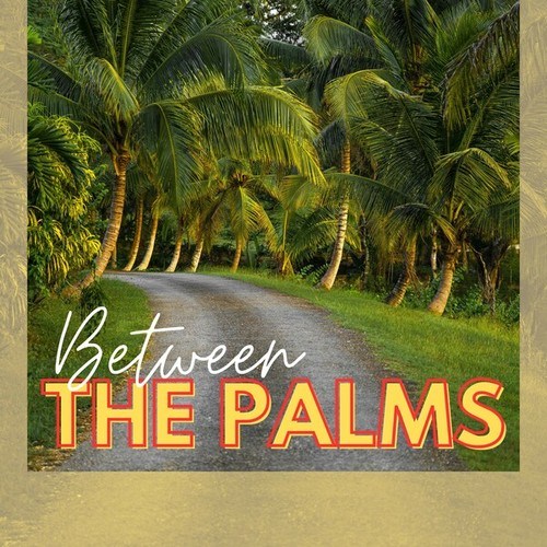 Between the Palms