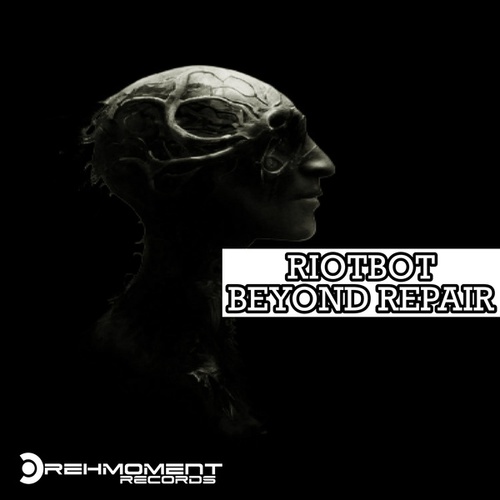 Riotbot-Beyond Repair