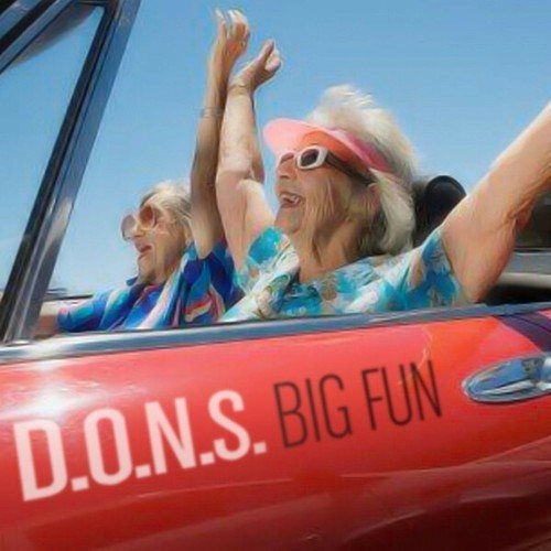 D.O.N.S.-Big Fun