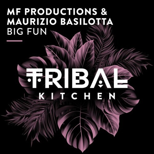 MF Productions, Maurizio Basilotta-Big Fun (Extended Mix)
