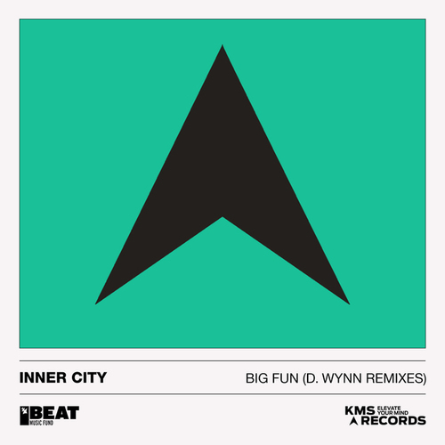 Inner City, Kevin Saunderson, D. Wynn-Big Fun