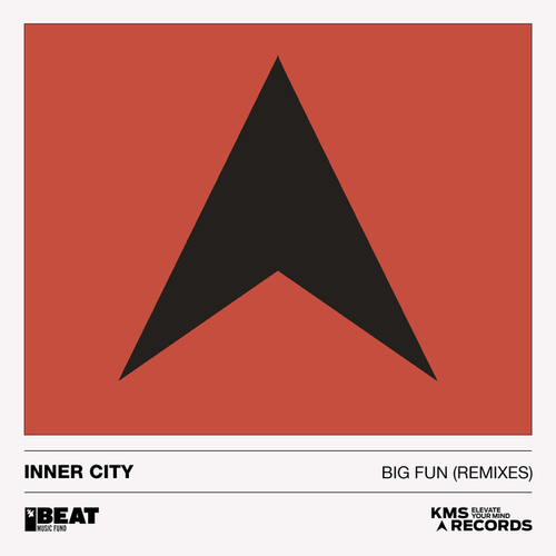 Inner City, Kevin Saunderson, Dynn Wynn, E-Dancer-Big Fun