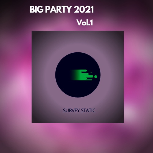 Various Artists-BIG PARTY 2021, Vol.1