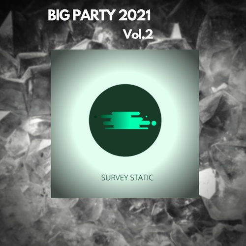Various Artists-BIG PARTY 2021, Vol.2