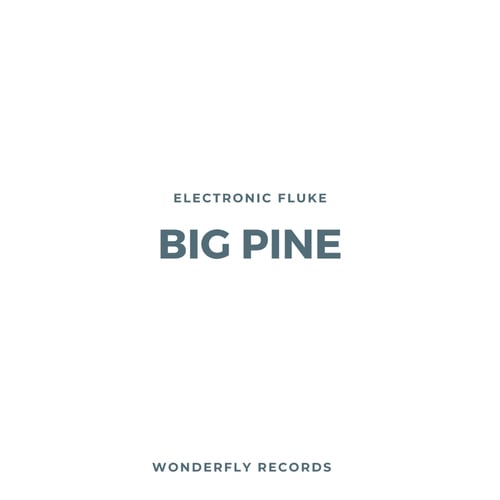 Electronic Fluke-Big Pine