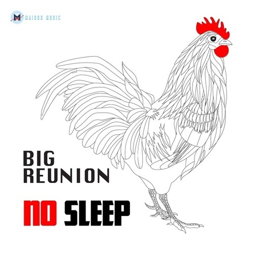 No Sleep-Big Reunion