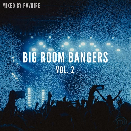 Big Room Bangers Vol. 2