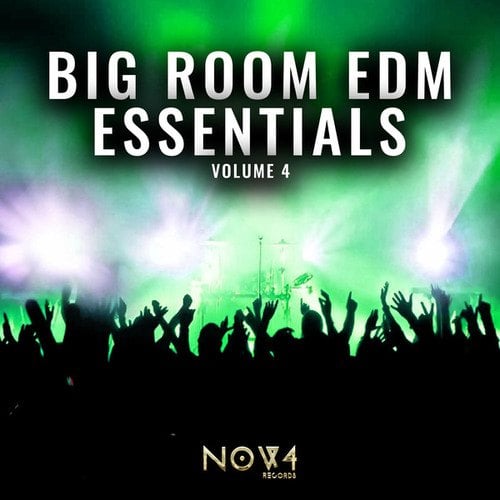 Various Artists-Big Room EDM Essentials, Vol. 4