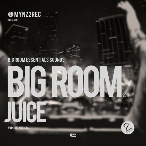 Various Artists-Big Room Juice (Big Room Essentials Sounds from the World)