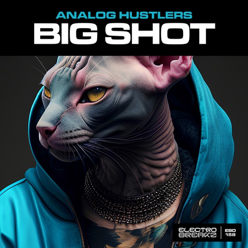 Analog Hustlers-Big Shot