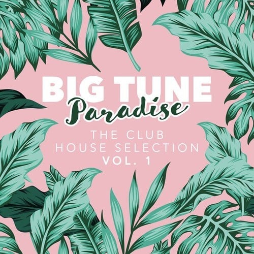 Various Artists-Big Tune Paradise - The Club House Selection, Vol. 1