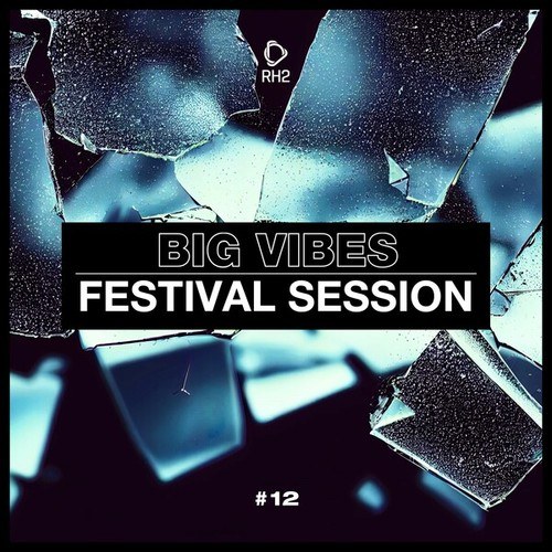 Various Artists-Big Vibes - Festival Session #12